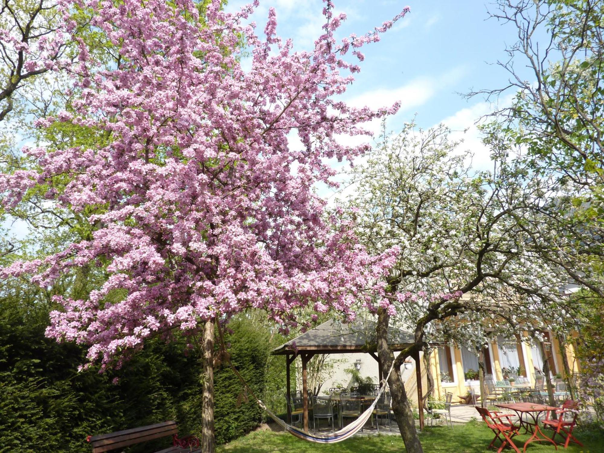 Hotel Oranien Nastatten Bagian luar foto